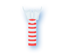 <strong>Beef Trachea</strong>