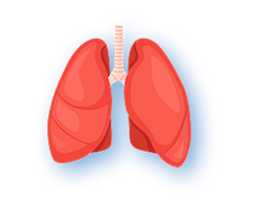 <strong>Beef Lungs</strong>