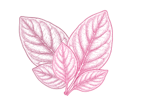 Ingredient 6