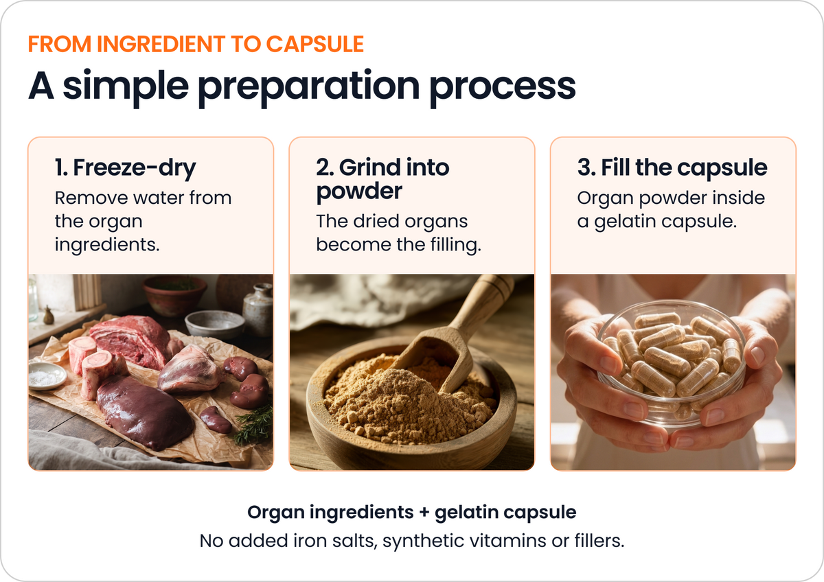 Actual organs. Freeze-dried. Put into capsules.