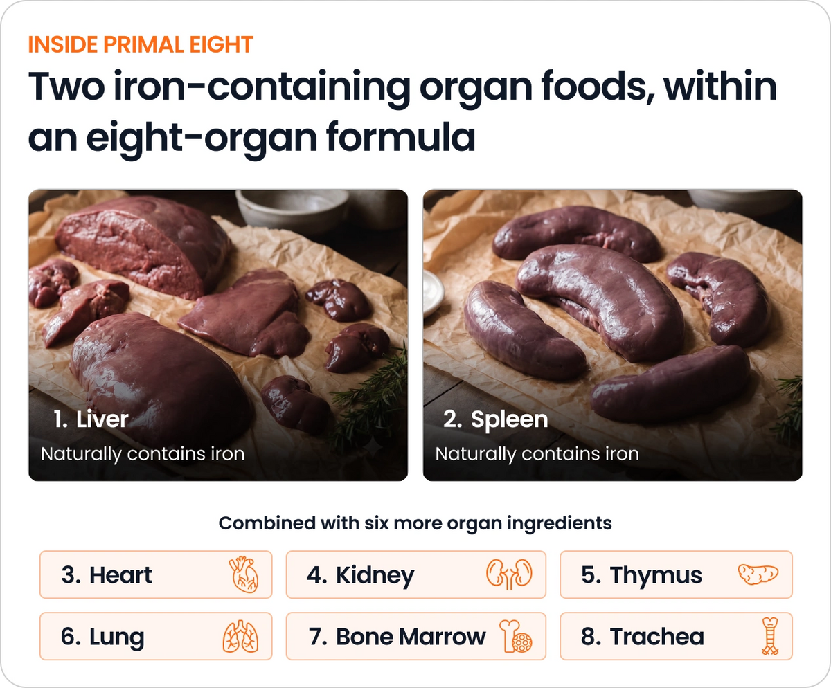 Primal Eight combines liver and spleen—two natural food sources of iron.