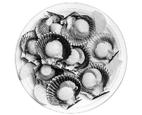 Shellfish